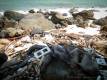 2_PhuQuoc_sterne_4_DSCN2260